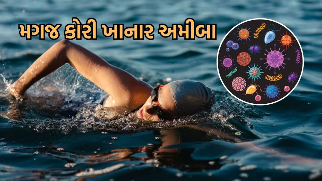 સાવધાન: વોટર પાર્ક કે નદી – તળાવના પાણીમાં હોય છે મગજ કોરી ખાનાર જીવલેણ જીવાણું, જાણો બીમારીના લક્ષણ અને બચાવ સાવધાન: વોટર પાર્ક કે નદી – તળાવના પાણીમાં હોય છે મગજ કોરી ખાનાર જીવલેણ જીવાણું, જાણો બીમારીના લક્ષણ અને બચાવ