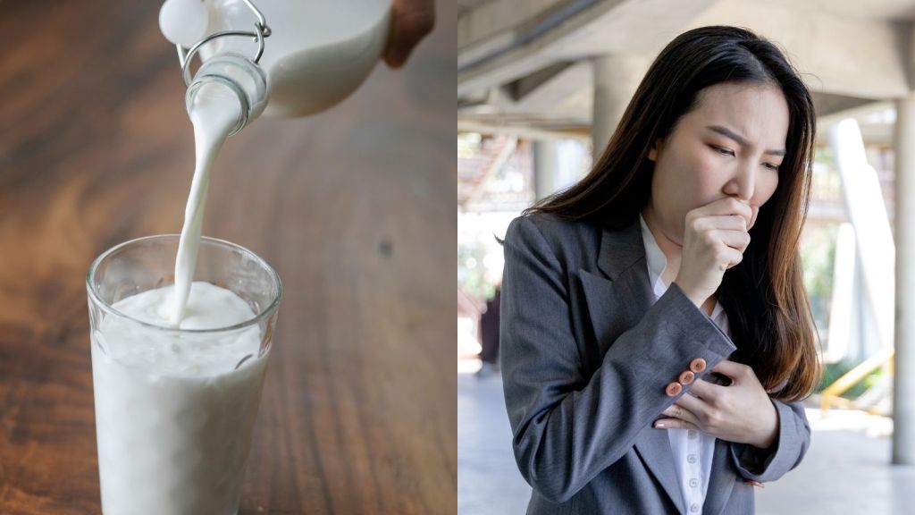 Health Tips : શું દૂધ ખરેખર કફ થવાનું કારણ બની શકે? એક્સપર્ટ શું કહે છે? Health Tips : શું દૂધ ખરેખર કફ થવાનું કારણ બની શકે? એક્સપર્ટ શું કહે છે?