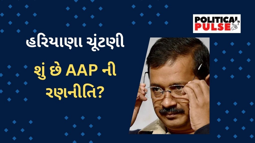 Haryana Election: AAP એ હરિયાણામાં 15 દિવસમાં 45 ચૂંટણી રેલીઓ કરી, જાણો શું છે પાર્ટીની ચૂંટણી રણનીતિ?