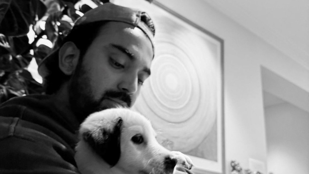 IPL 2025 મેગા ઓક્શન : લખનઉ સુપર જાયન્ટ્સ કેએલ રાહુલ સહિત આ ખેલાડીઓને કરી શકે છે બહાર IPL 2025 મેગા ઓક્શન : લખનઉ સુપર જાયન્ટ્સ કેએલ રાહુલ સહિત આ ખેલાડીઓને કરી શકે છે બહાર