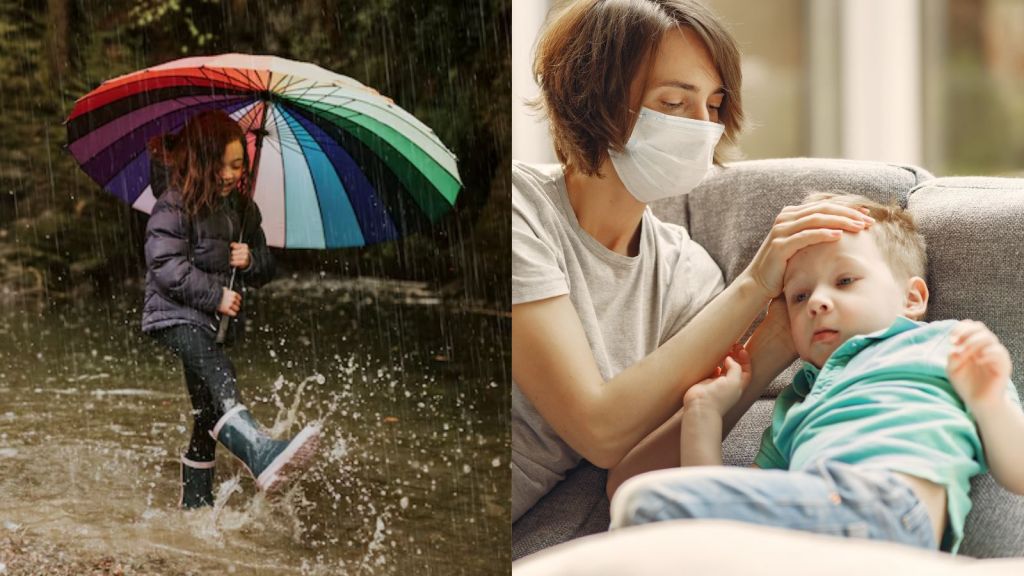 Monsoon special : ચોમાસા દરમિયાન થતી બીમારીઓ અને તંદુરસ્ત રહેવાના નિવારક પગલાં