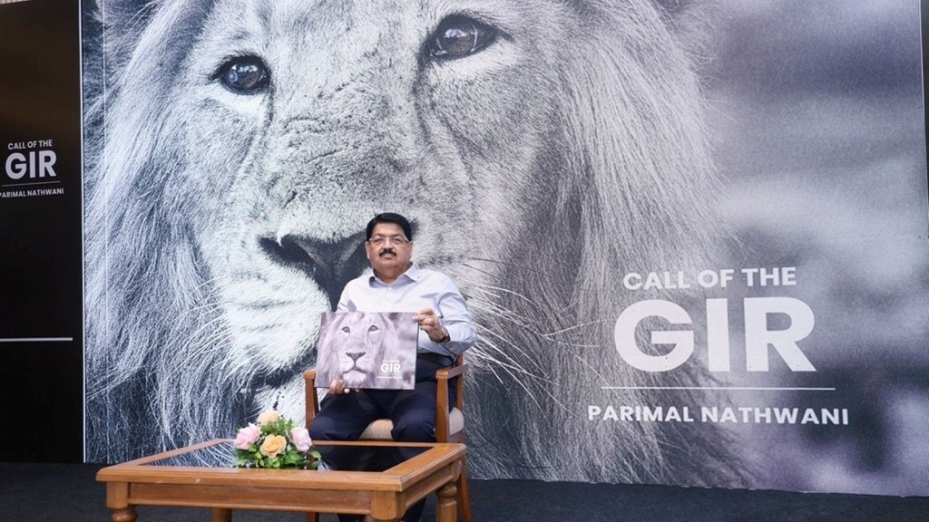 સિંહો માટે વિસ્તાર નાનો પડી રહ્યો છે, બરડો ડુંગર પર નવું રહેઠાણ વિકસાવવું જોઈએ : પરિમલ નથવાણી સિંહો માટે વિસ્તાર નાનો પડી રહ્યો છે, બરડો ડુંગર પર નવું રહેઠાણ વિકસાવવું જોઈએ : પરિમલ નથવાણી