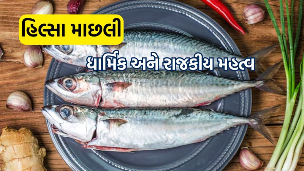 Hilsa Fish: બાંગ્લાદેશની હિલ્સા માછલી બંગાળીઓની અતિ પ્રિય,  જાણો ધાર્મિક અને રાજકીય મહત્વ
