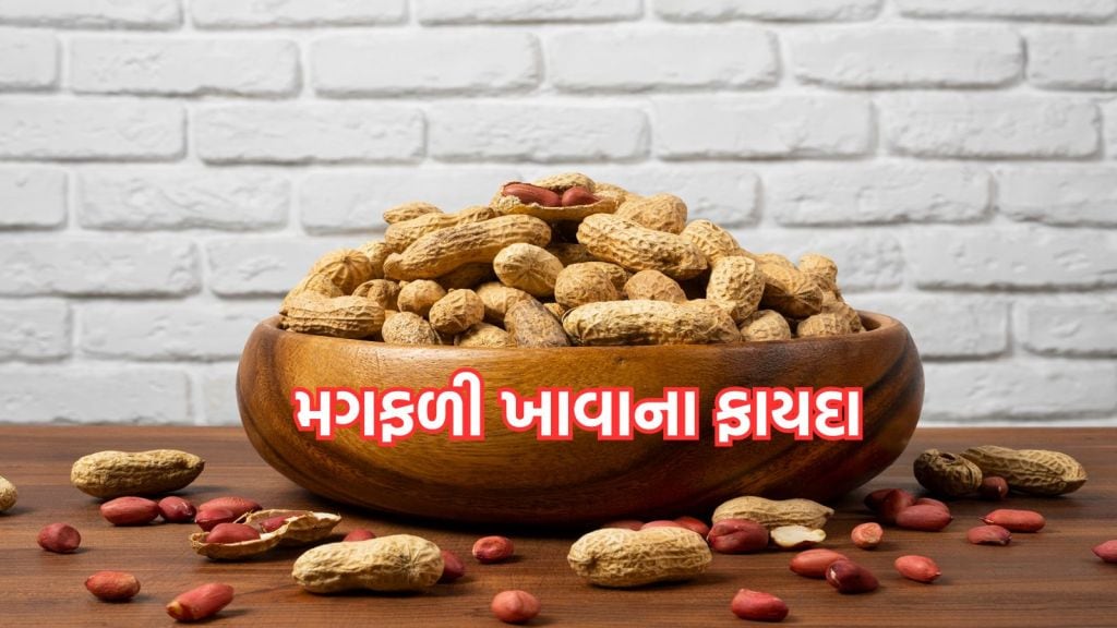 Health Benefits Of Peanuts: દરરોજ એક મુઠ્ઠી મગફળીનું સેવન હૃદય રાખશે તંદુરસ્ત, જાણો સીંગદાણા ખાવાના અદભૂત ફાયદા