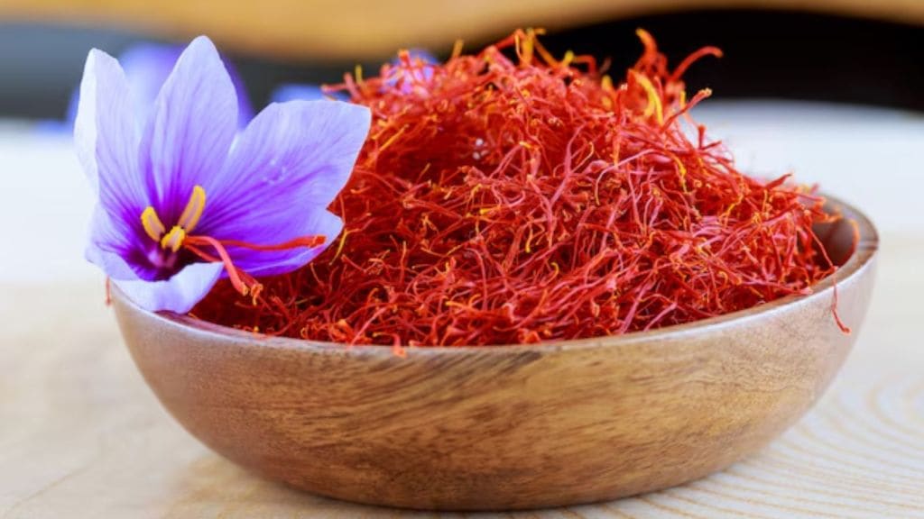 Saffron : કેસર નકલી છે કે અસલી કેવી રીતે ઓળખશો? અહીં જાણો ટીપ્સ અને ટ્રિક્સ