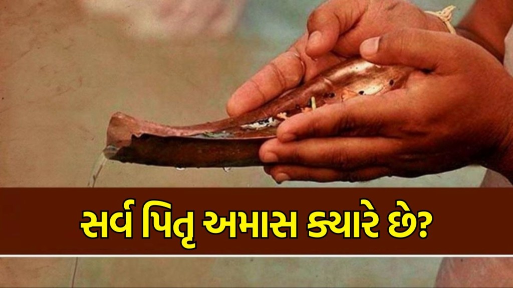 Sarva Pitru Amavasya 2024 Date સર્વ પિતૃ અમાસ ક્યારે છે