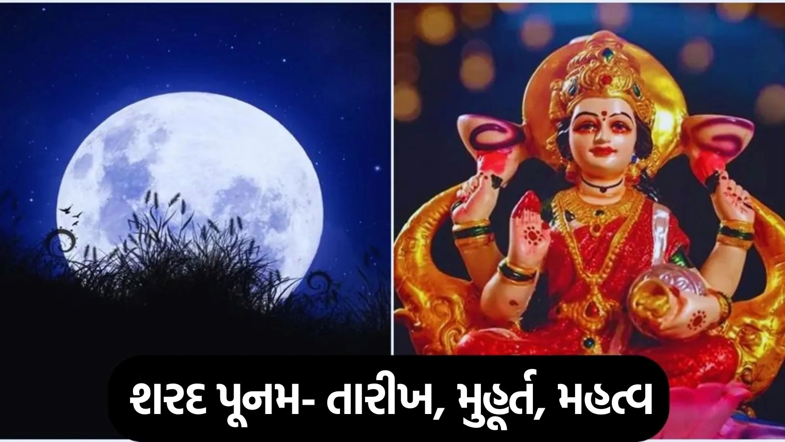 શરદ પૂનમ તારીખ સમય મહત્વ sharad Purnima 2024 date time Vidhi muhurt