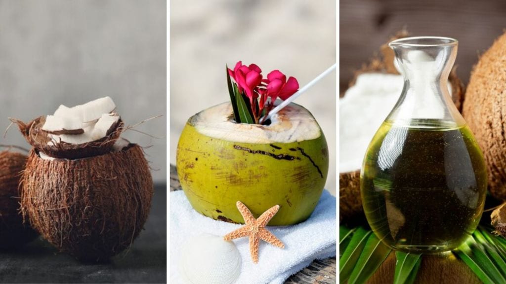 World Coconut Day: નાળિયેર રોજ ખાવું યોગ્ય છે? નારિયેળનું સેવન કરવાના ચમત્કારિક ફાયદા જાણી ચોંકી જશો World Coconut Day: નાળિયેર રોજ ખાવું યોગ્ય છે? નારિયેળનું સેવન કરવાના ચમત્કારિક ફાયદા જાણી ચોંકી જશો