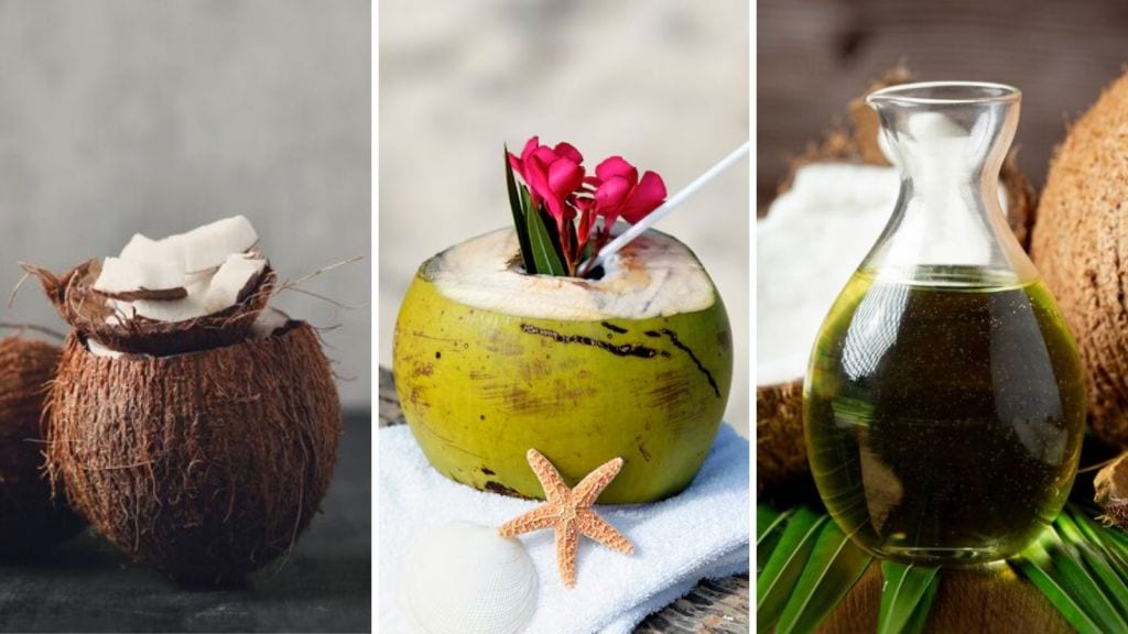 World Coconut Day: નાળિયેર રોજ ખાવું યોગ્ય છે? નારિયેળનું સેવન કરવાના ચમત્કારિક ફાયદા જાણી ચોંકી જશો