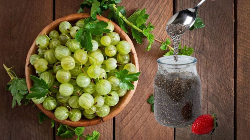 Health Tips: ઓક્ટોબરમાં આમળા ચિયા સીડનું પાણી પીવાના ચમત્કારી લાભ, ડાયાબિટીસ દર્દી માટે પણ ફાયદાકારક