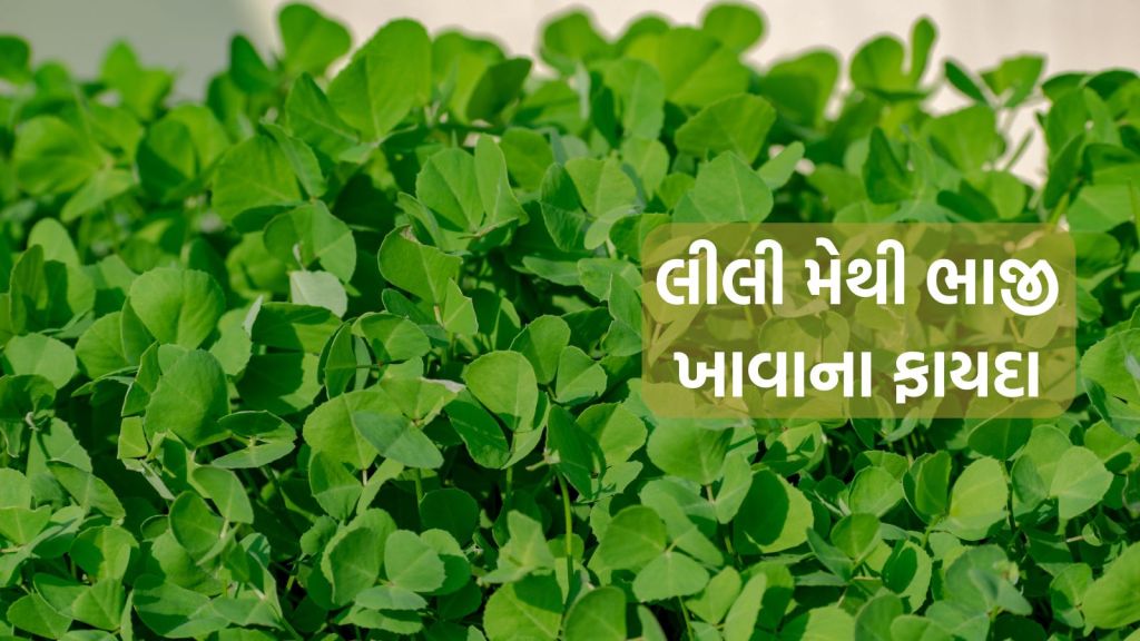 Health Tips: મેથીની ભાજી ડાયાબિટીસ દર્દી માટે અમૃત સમાન, જાણો લીલી શાકભાજી ખાવાના ફાયદા