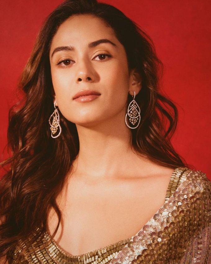 બધા સ્ટાર્સે એકથી એક ચડિયાતા આઉટફિટ પસંદ કર્યા હતા અને ફેશન ગ્લેમ વાઈબ્સ આપ્યા હતા, પરંતુ મીરા રાજપુર કપૂર, જાન્હવી કપૂર અને બહેન ખુશી કપૂર વધુ આકર્ષણનનુ કેન્દ્ર રહ્યા હતા. અહીં જાણો તેઓએ દિવાળી પાર્ટી શું પહેર્યું છે.