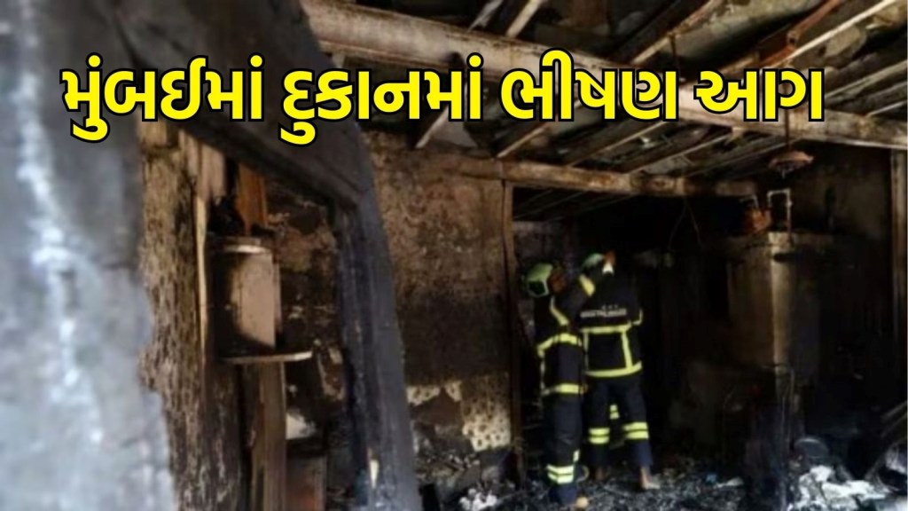 મુંબઈના ચેમ્બુર વિસ્તારમાં એક દુકાનમાં લાગી ભીષણ આગ, એક જ પરિવારના 5 લોકોએ જીવ ગુમાવ્યા, કુલ 7ના મોત