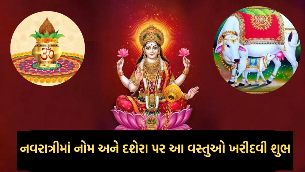 નવરાત્રીમાં નોમ અને દશેરા પર ખરીદો આ વસ્તુઓ, મા લક્ષ્મી થશે પ્રશન્ન, ધન-સમૃદ્ધિ પ્રાપ્ત થવાની માન્યતા નવરાત્રીમાં નોમ અને દશેરા પર ખરીદો આ વસ્તુઓ, મા લક્ષ્મી થશે પ્રશન્ન, ધન-સમૃદ્ધિ પ્રાપ્ત થવાની માન્યતા