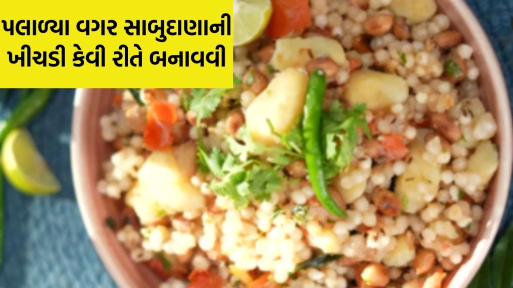 સાબુદાણા પલાળ્યા વગર માત્ર 10 મિનિટમાં બનાવો ખીચડી, જાણો સરળ રીત