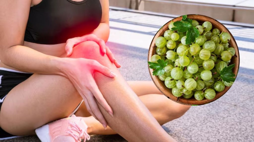 Uric Acid Control Tips: યુરિક એસિડ કન્ટ્રોલ કરવામાં આમળા અકસીર, જાણો આમળાનું સેવન કરવાના ફાયદા