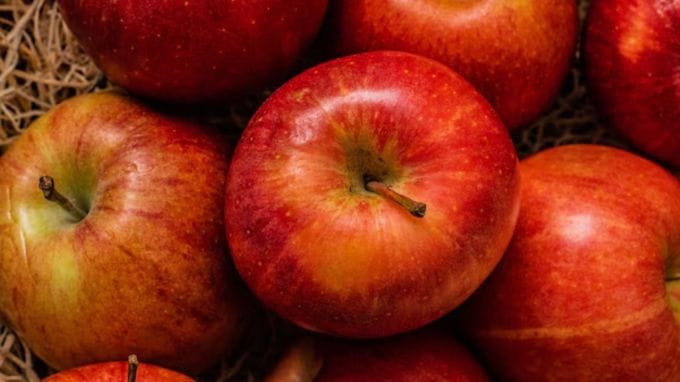 <strong>Apple : સફરજન</strong><br>શિયાળાનામાં સફરજનનું સેવન કરવાથી ઘણી સમસ્યાઓથી છુટકારો મેળવી શકાય છે. તેમાં વિટામિન એ, પોટેશિયમ અને ફાઈબર સારી માત્રામાં જોવા મળે છે. (Photo: Freepik)
