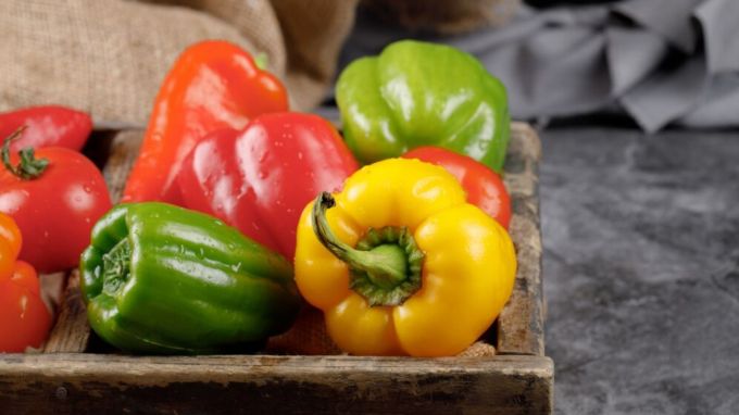 કેપ્સિકમ : Bell Peppers<br>કેપ્સિકમનું મૂળ મધ્ય અમેરિકા છે. ભારતીય ભોજનમાં તેનો શાકભાજી અને સલાડમાં વ્યાપકપણે થાય છે. (Photo: Freepik)