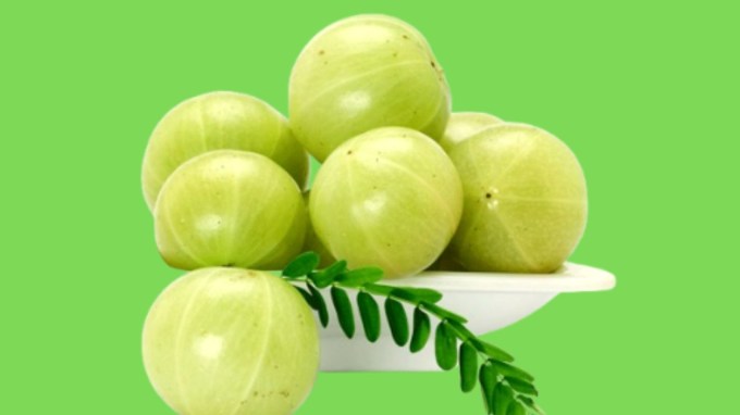 <strong>આંબળા: </strong>જો તમે શિયાળામાં આંબળાના ફાયદા મેળવવા શોધી રહ્યા છો તો આંબળાની ચા એક સારો વિકલ્પ છે. આંબળાની ચા વિટામીન સી અને એંટીઓક્સીડેંટથી ભરપૂર હોય છે જે સ્કિનને હેલ્દી રાખવા, પાચન અને ડિટોક્સિફિકેશનમાં મદદ કરે છે. આંબળાની ચટણી, આંબળાનો ટેસ્ટ લેવામાં એક હેલ્દી અને પૌષ્ટીક રીત છે. શિયાળામાં ભારે અને ગરમ ભોજનના કારણે પાચન શક્તિ ધીની થઈ શકે છે માટે આંબળામાં રહેલા ફાઈબર ડાઈઝેશનને વધારવામાં મદદ કરી શકે છે. સોજાથી રાહત અપાવવ અને ઝાડાને રોકવામાં મદદગાર સાબિત થઈ શકે છે.