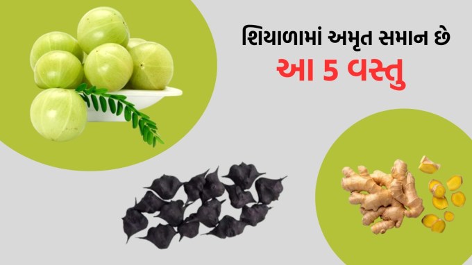 <strong>Foods To Eat in Winter For Energy:</strong> શિયાળાની ઋતુ શરૂ થઈ ગઈ છે અને બદલાતા વાતાવરણમાં શરીરને સ્વસ્થ અને ફીટ રાખવા માટે ખાનપાનનું વિશેષ ધ્યાન રાખવું જોઈએ. ઋતુ પ્રમાણે તમારો આહાર હોવાથી શરીરને પર્યાપ્ત એનર્જી મળે છે અને બીમારીઓનો ખતરો પણ ટળી શકે છે. શિયાળો શરૂ થતા જ લોકો ખાંસી, શરદ જેવી સમસ્યાનો સામનો કરવો પડે છે. આ ઋતુમાં નબળી ઇમ્યુનિટી અને ખરાબ ભોજનના કારણે ઇન્ફેક્શન અને બીમારીનો ખતરો પણ વધી જાય છે. ઠંડીની સિઝનમાં શરીરને એનર્જેટીક રાખવા અને શરીરને ગરમ રાખવા માટે એવા ફુડને ડાઈટમાં સામેલ કરવા જોઈએ, જે શિયાળાની ઋતુમાં ફાયકારક રહે. આવો વિસ્તારથી જાણીએ શિયાળાની ઋતુમાં શક્તિ માટે શું ખાવું જોઈએ.