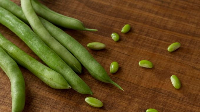 ફણસી : Green Beans<br>મધ્ય અને દક્ષિણ અમેરિકામાંથી આવેલ ફણસી એટલે કે ગ્રીન બિન્સ આજે ભારતીય ભોજનમાં બહુ વપરાય છે. (Photo: Freepik)