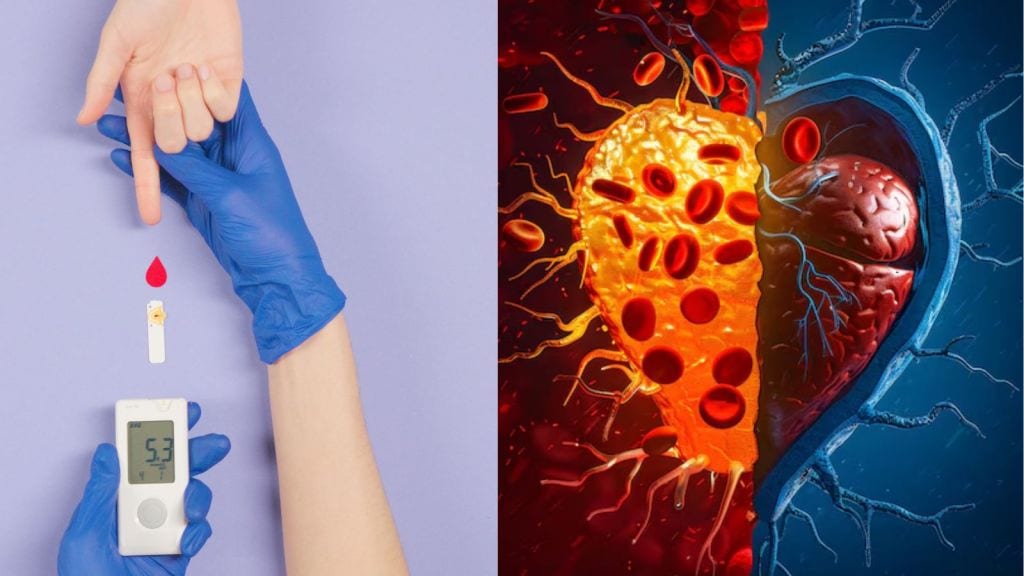 winter healthy drinks | બ્લડ સુગર અને કોલેસ્ટ્રોલ માટે શ્રેષ્ઠ હેલ્ધી ડ્રિંક ! જાણો શિયાળામાં કેમ છે ખાસ winter healthy drinks | બ્લડ સુગર અને કોલેસ્ટ્રોલ માટે શ્રેષ્ઠ હેલ્ધી ડ્રિંક ! જાણો શિયાળામાં કેમ છે ખાસ