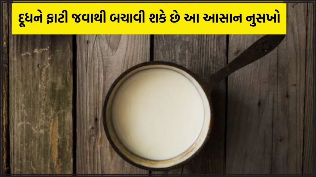 આ વસ્તુ નાખવાથી નહીં ફાટે દૂધ? માસ્ટર શેફ પાસેથી જાણો અનોખો નુસખો આ વસ્તુ નાખવાથી નહીં ફાટે દૂધ? માસ્ટર શેફ પાસેથી જાણો અનોખો નુસખો