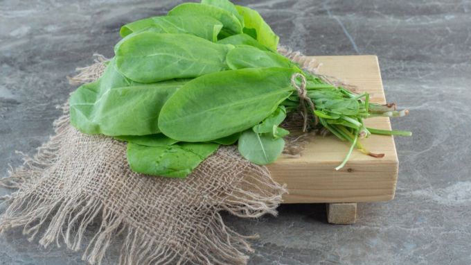 પાલક : Spinach<br>પાલક મધ્ય એશિયામાંથી આવેી શાકભાજી છે પરંતુ ભારતમાં તેનો વ્યાપક ઉપયોગ થાય છે, ખાસ કરીને પાલક પનીર જેવી સબ્જી ભારતીય લોકો બહુ શોખથી ખાય છે. (Photo: Freepik)