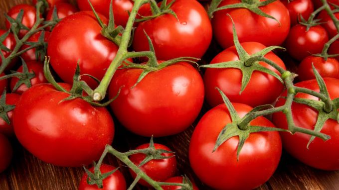 ટામેટાં : Tomatoes<br>દક્ષિણ અમેરિકામાંથી ઉત્પન્ન થતા ટામેટાં પણ પોર્ટુગીઝો દ્વારા ભારતમાં લાવવામાં આવ્યા હતા. આજે ભારતીય ભોજનમાં ટામેટાંનો ઉપયોગ એટલો વધી ગયો છે કે ભારતીય સબ્જી તેના વિના અધૂરી માનવામાં આવે છે. (Photo: Freepik)