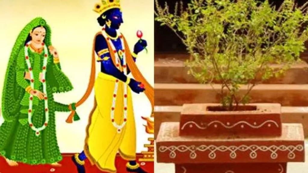 Tulsi Vivah 2024 Date : તુલસી વિવાહ ક્યારે છે? જાણો તારીખ, શુભ મુહૂર્ત અને ધાર્મિક મહત્વ