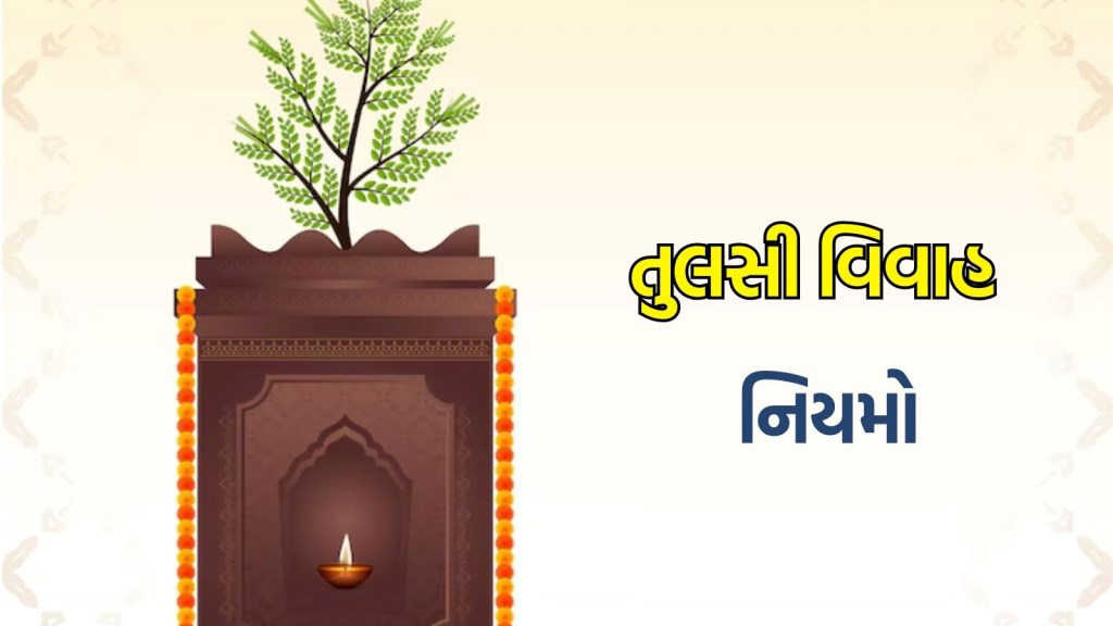 તુલસી વિવાહ મહત્વ : આવા લોકોએ તો દેવઉઠી એકાદશી પર તુલસી વિવાહ જરુર કરાવવા જોઈએ, જાણો નિયમો