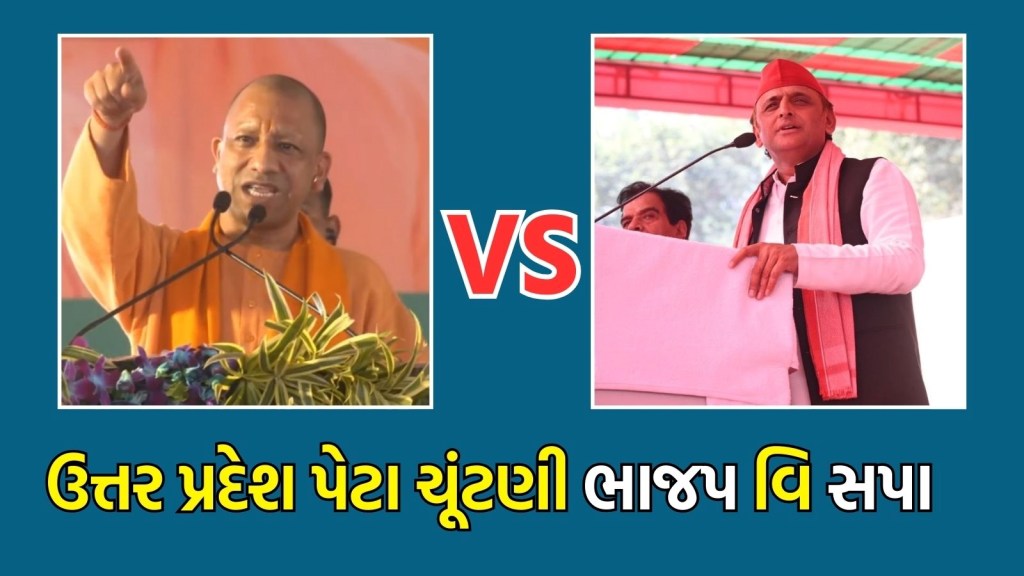 ઉત્તર પ્રદેશ પેટા ચૂંટણીમાં સપાનું ધ્યાન મુસ્લિમ મતો પર, ભાજપની નજર હિન્દુ મતો પર