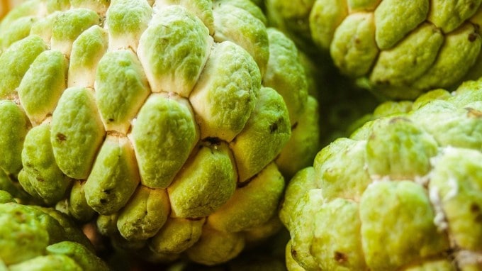 સીતાફળના પાવડર વડે તમારા દાંત સાફ કરવાનો પ્રયાસ કરો. આ પાવડર તમામ ઘરેલું ઉપચારને નિષ્ફળ કરી દેશે. જો કોઈ વ્યક્તિના શ્વાસમાં દુર્ગંધ આવે છે તો તેણે સીતાફળની છાલમાંથી બનેલા પાવડરનો ટૂથપેસ્ટ તરીકે ઉપયોગ કરવાનો પ્રયાસ કરવો જોઈએ. આ સાથે તમારે દરરોજ સવારે અથવા સાંજે તમારા દાંતને ટૂથબ્રશની જેમ હળવા હાથે સાફ કરવા જોઈએ. તે પાયોરિયા, શ્વાસની દુર્ગંધ, પ્લાકને દૂર કરે છે અને દાંત તેમજ પેઢાને મજબૂત બનાવે છે. આ રીતે તમે કસ્ટર્ડ સફરજનની છાલમાંથી હર્બલ ટૂથપેસ્ટ બનાવી શકો છો. (તસવીર: Freepik)