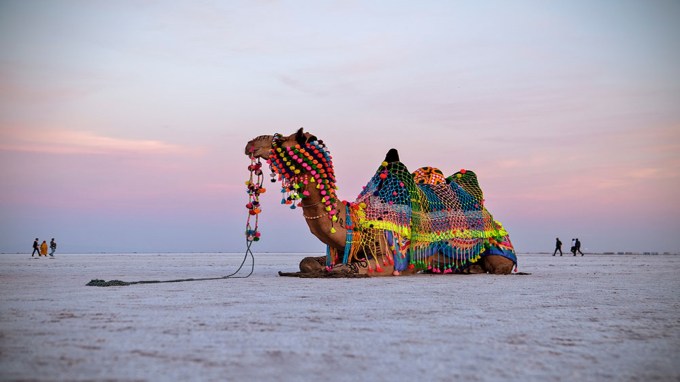 <strong>Great Rann Of Kutch : કચ્છ રણોત્સવ</strong><br>કચ્છ રણોત્સવ પ્રવાસીઓમાં ભારે આકર્ષણ ધરાવે છે. રણ વિસ્તારમાં દરિયાના પાણી સુકાઇ ગયા બાદ સફેદ મીઠાની રજકણના કારણે આ વિસ્તારની જમીન રાત્રે ચંદ્ર જેવી સફેદ દેખાય છે. અહીં દર વર્ષે રણોત્સવ ઉજવાય છે, જેમા લાખો પ્રવાસીઓ કચ્છની સંસ્કૃતિ માણે છે. અહીં પ્રવાસીઓ નળાકાર માટીના ભૂંગામાં રહે છે, કચ્છનું દેશી ભોજનનો સ્વાદ માણે છે, હસ્તશૈલી જોઇ આશ્ચર્યચકિત થઇ જાય છે. નજીકમાં કચ્છનું નાનું રણ છે, જ્યાં જગંલી ગધેડા, કાળિયાર અને ચિંકારા જેવા પ્રાણીઓ જોવાનો આનંદ માણે છે. (Photo: Gujarat Tourism)