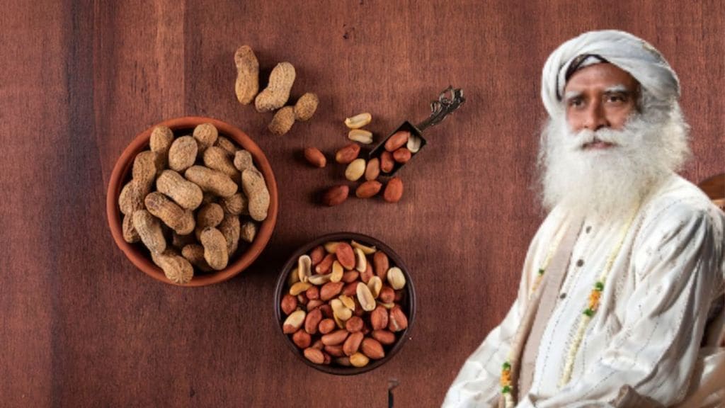 Health Tips: સિંગદાણા બદામ જેટલા પૌષ્ટિક, સવારે નાસ્તામાં 1 મુઠ્ઠી સેવન કરો શરીર બનશે મજબૂત, સદગુરુ પાસેથી જાણો ફાયદા