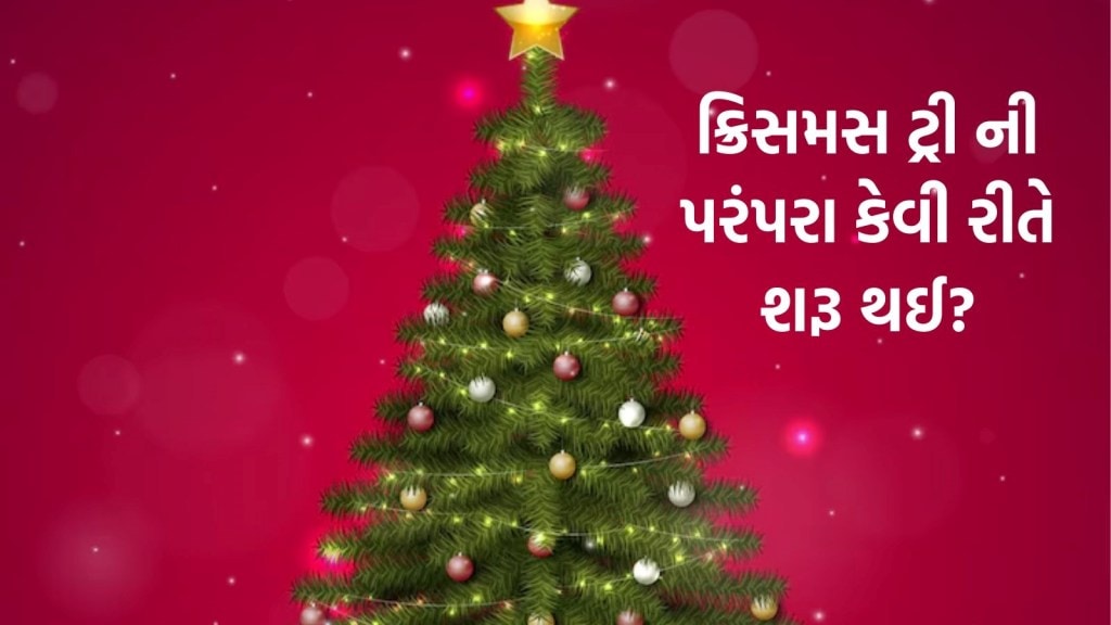 Christmas Tree: ક્રિસમસ ટ્રી બાઇબલમાં નથી, તો કેવી રીતે થયું પ્રચલિત? Christmas Tree: ક્રિસમસ ટ્રી બાઇબલમાં નથી, તો કેવી રીતે થયું પ્રચલિત?