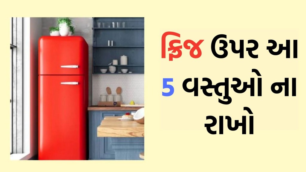 ફ્રિજ ઉપર આ 5 વસ્તુઓને ક્યારેય ન રાખો, આર્થિક તંગી સહિત થઇ શકે આવા નુકસાન