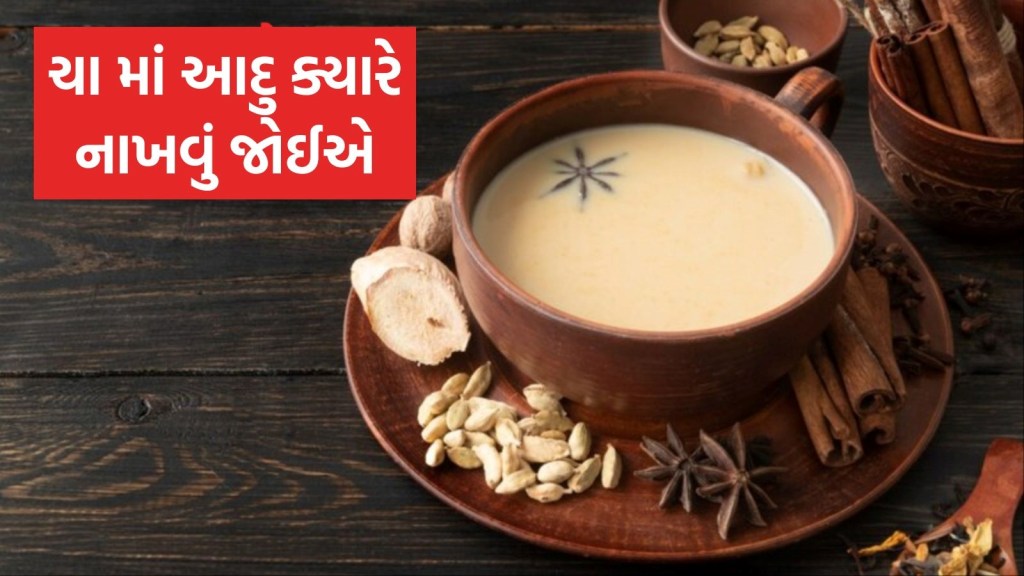 ચા માં આદુ ક્યારે નાખવું જોઈએ? આદુની ચા બનાવતા સમયે કઇ વાતોનું ધ્યાન રાખવું, જાણો ચા માં આદુ ક્યારે નાખવું જોઈએ? આદુની ચા બનાવતા સમયે કઇ વાતોનું ધ્યાન રાખવું, જાણો