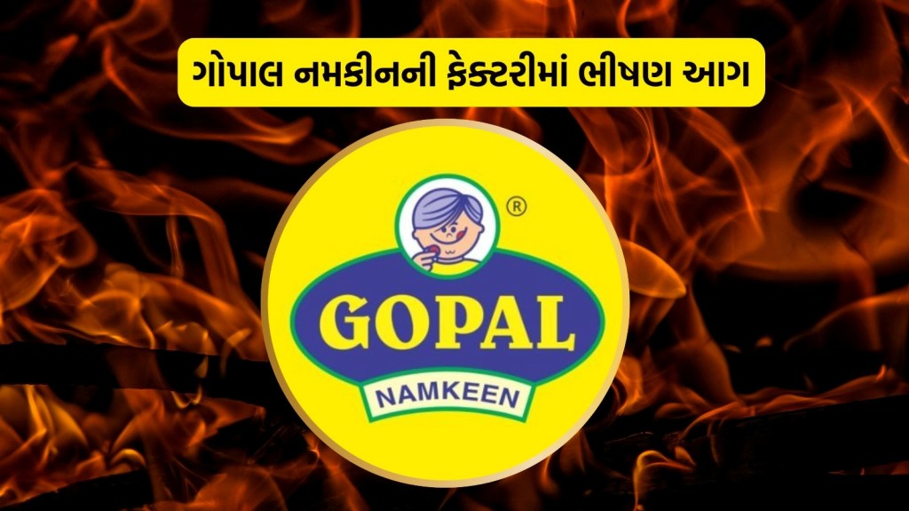 રાજકોટ: ગોપાલ નમકીનની ફેક્ટરીમાં લાગી ભીષણ આગ, ફાયર વિભાગે મેજર કોલ જાહેર કર્યો