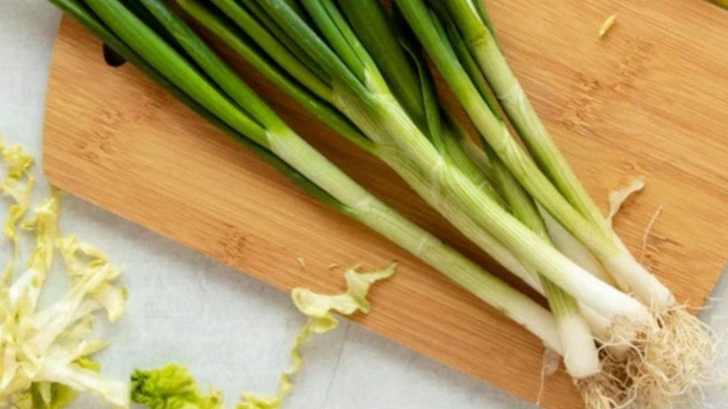 Lila Lasan Ni Recipe : લીલું લસણ શિયાળા માટે બેસ્ટ ઔષધ! જાણો 4 સ્વાદિષ્ટ રેસીપી