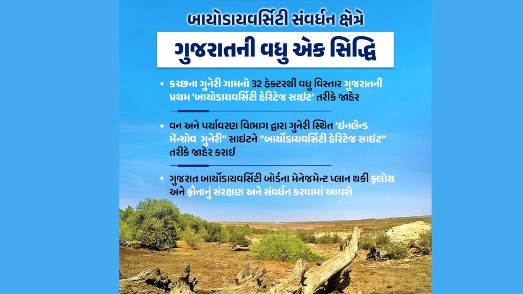 કચ્છ: ‘ઇનલેન્ડ મેંગ્રોવ ગન્ની’ સાઇટને જાહેરના લાખપત તાલુકામાં “ઇનલેન્ડ મેંગ્રોવ ગુન્રી ‘સ્થળ તરીકે જાહેર કરવામાં આવી છે, જે ગુજરાતની પ્રથમ’ બારીઆડિસ્ટ હેરિટેજ સાઇટ ‘તરીકે જાહેરના લખપટ તાલુકાના તાલુકામાં છે. પ્રથમને “બેરીઆડિવર્સિટી હેરિટેજ સાઇટ” તરીકે જાહેર કરવામાં આવી છે. . ડિપાર્ટમેન્ટમાં 32.78 હેક્ટર વિસ્તાર, જે એક કુદરતી અંતર્ગત મેંગ્રોવ સાઇટ છે, ગુજરાતની પ્રથમ જૈવવિવિધતા હેરિટેજ સાઇટ તરીકે જાહેર કરવામાં આવી છે. “મેનેજમેન્ટ સ્કીમ દ્વારા” વિસ્તારમાં પ્લાન્ટ અને પ્રાણીસૃષ્ટિના સંરક્ષણ અને સંરક્ષણની ખાતરી કરશે. સ્વ -સરકારી સંસ્થા. અત્યાર સુધી તે વિસ્તારને formal પચારિક રીતે સુરક્ષિત રાખવા માટે કોઈ રચના નહોતી અને કોઈપણ ત્યાં કંઈપણ કરી શકે છે. બાયોસિવર્સિટી સંવર્ધન ક્ષેત્રે ગુજરાતની બીજી સિદ્ધિ બાયોડિવર્સિટી એક્ટ, 2002 ની જોગવાઈઓ હેઠળ કરવામાં આવી છે. આ અધિનિયમ રાજ્ય સરકારને સ્થાનિક સંસ્થાઓની સલાહ લીધા પછી બીએચએસ તરીકે આ ક્ષેત્રને સૂચિત કરવાનો અધિકાર આપે છે. તેઓએ કહ્યું કે ગુન્રી ઇનલેન્ડ મેંગ્રોવ સાઇટ ભારતમાં તેના પ્રકારનો છેલ્લો અવશેષ છે. આ વાંચો: અમદાવાદમાં બુલેટ ટ્રેન સ્ટેશનનું કામ ક્યાં પહોંચ્યું, વિડિઓ દરિયાકાંઠાના કિનારાની સામે આવી જે કાદવવાળું છે અને ઓછામાં ઓછું દરરોજ એકવાર. તેમ છતાં, gun ક્સેસ કરવામાં આવે છે, ગુન્ડી મેંગ્રોવ સાઇટ અરબી સમુદ્રથી 45 કિમી અને કોરી ક્રીકથી ચાર કિમી દૂર સ્થિત છે, જ્યાં સમુદ્રનું પાણી ક્યારેય પહોંચતું નથી. તે કોઈપણ કાદવથી પણ વંચિત છે, અને તે જંગલની જેમ જમીનના સપાટ ટુકડા પર ફેલાય છે. વિભાગના એક વરિષ્ઠ અધિકારીએ જણાવ્યું હતું કે, “ફોજદારી ઇનલેન્ડ મેંગ્રોવ ઘણા સમય પહેલા ઉભરી હોવાનું માનવામાં આવે છે. માનવામાં આવે છે કે તે મેસિન સમયગાળા દરમિયાન અથવા ગ્રેટ રણમાં લોસ્ટ રિવર (સરસ્વતી નદી) ના કાંઠે દરિયાઇ અલગ થયા પછી ઉદ્ભવ્યો હતો. કચ્છનો. પશ્ચિમ કુચ અને ગુન્ડી મેંગ્રોવની નજીકમાં ચૂનાના સંગ્રહનો રેકોર્ડ છે. સદીઓથી આ ચૂનાના પત્થર પર ગુનાહિત અંતર્દેશીય મેંગ્રોવ્સ અસ્તિત્વમાં છે – આમ તેને એક અનોખી બાયોકેમિકલ સ્થળ બનાવે છે. .