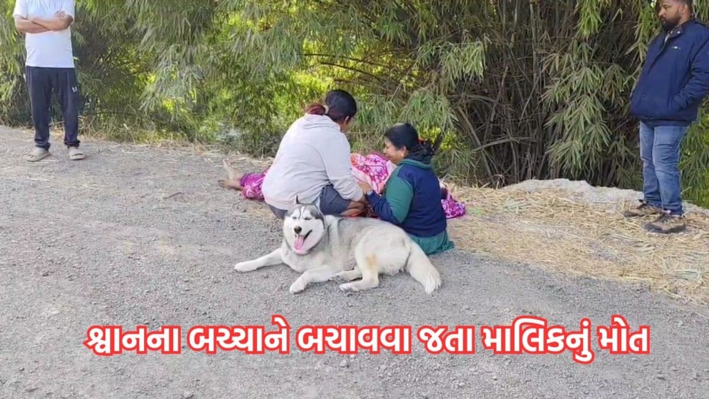 VIDEO: નર્મદા નહેરમાં ખાબકેલા પાલતુ કૂતરાને બચાવવા જતા માલિકનું મોત, પત્ની અને પુત્રી બેભાન