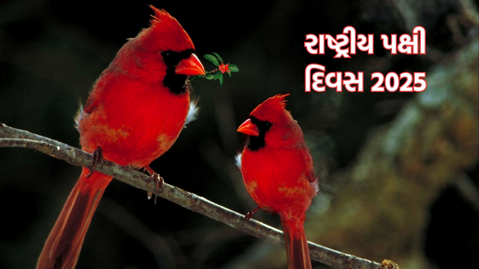 National Bird Day 2025 રાષ્ટ્રીય પક્ષી દિવસ શા માટે ઉજવાય છે, જાણો
