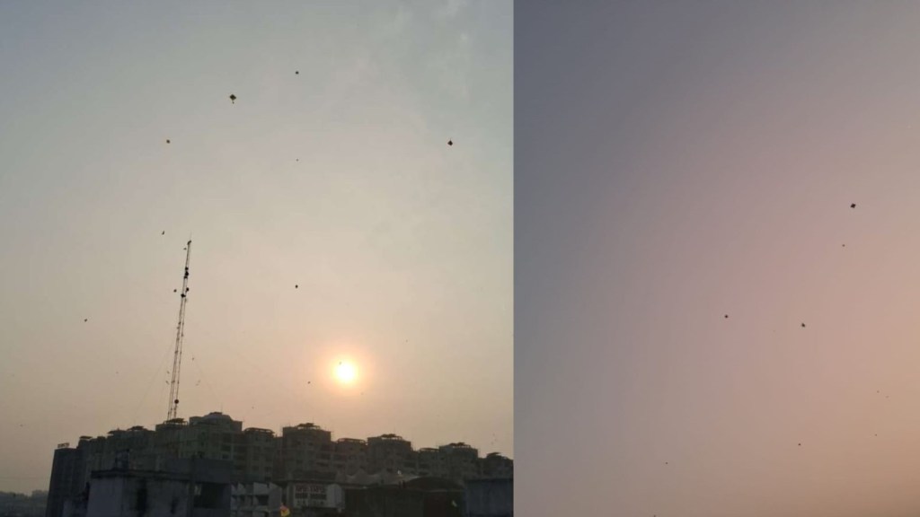 રાજ્યભરમાં ઉત્તરાયણની ધામધૂમથી ઉજવણી, પતંગની દોરીના કારણે ચાર લોકોએ જીવ ગુમાવ્યો