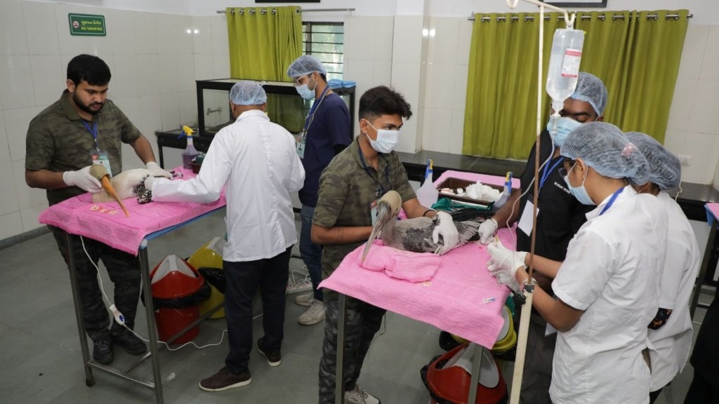 મકરસંક્રાંતિ પર અકસ્માતોની ભરમાર, 6 લોકોના મોત, ઉત્સવના ઉત્સાહ વચ્ચે ઘણા લોકો ઘાયલ મકરસંક્રાંતિ પર અકસ્માતોની ભરમાર, 6 લોકોના મોત, ઉત્સવના ઉત્સાહ વચ્ચે ઘણા લોકો ઘાયલ