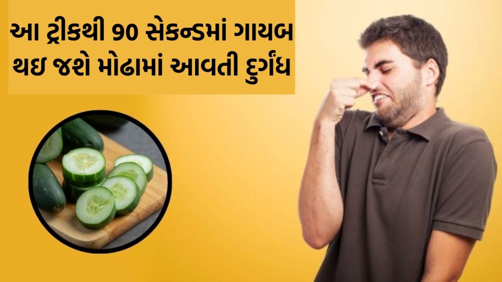 મોઢા માથી આવે છે ખરાબ વાસ તો 90 સેકન્ડ સુધી કરો આ આસાન કામ, મળશે ફ્રેશ શ્વાસ મોઢા માથી આવે છે ખરાબ વાસ તો 90 સેકન્ડ સુધી કરો આ આસાન કામ, મળશે ફ્રેશ શ્વાસ