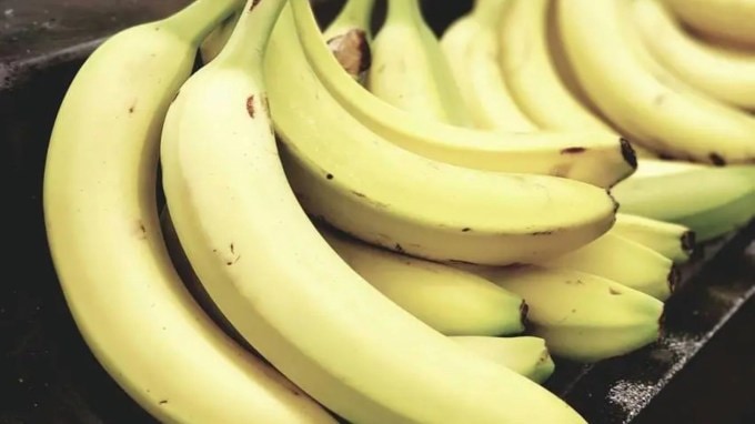 <strong>કેળા :</strong> આ ઋતુમાં સવારે કેળાનું સેવન કરવાથી શરીરનું એનર્જી લેવલ વધે છે. આ ઉપરાંત કેળાનું સેવન અન્ય ઘણી સમસ્યાઓમાં પણ ફાયદાકારક સાબિત થઈ શકે છે. (Photo Source: Pexels)
