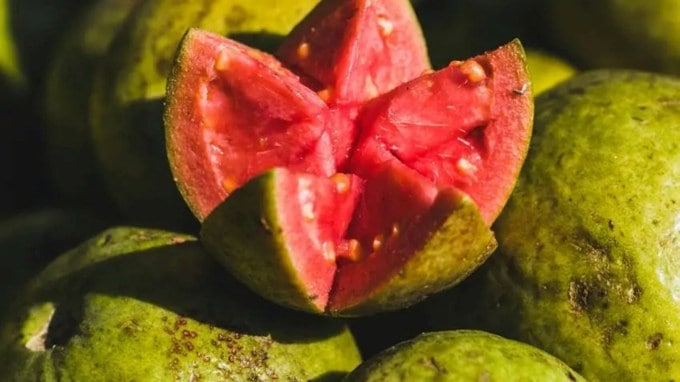 <strong>જામફળ</strong> : આ ઋતુમાં જામફળનું પણ ભરપૂર સેવન કરવામાં આવે છે. જામફળનું સેવન બ્લડ શુગર લેવલને કંટ્રોલ કરવાથી લઈને પેટની સમસ્યાઓમાં ફાયદાકારક હોવાનું કહેવાય છે. (Photo Source: Pexels)