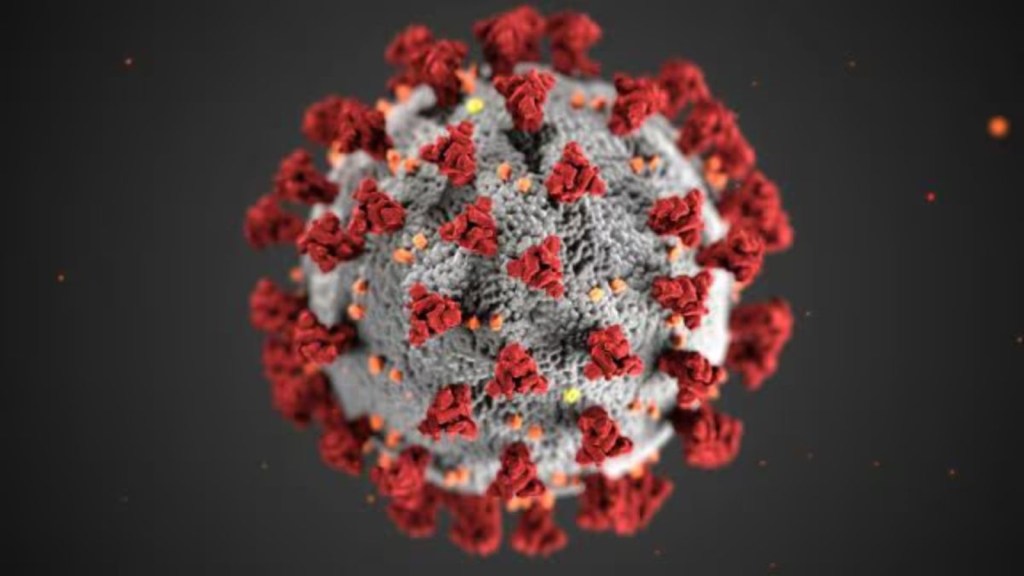 HMPV Virus : શ્વાસ સંબંધી રોગોમાં કોઈ વધારો થયો નથી પરંતુ રાજ્યોને એલર્ટ રહેવાની સૂચના, જાણો HMPV અંગે કેન્દ્રની કેવી છે તૈયારી HMPV Virus : શ્વાસ સંબંધી રોગોમાં કોઈ વધારો થયો નથી પરંતુ રાજ્યોને એલર્ટ રહેવાની સૂચના, જાણો HMPV અંગે કેન્દ્રની કેવી છે તૈયારી