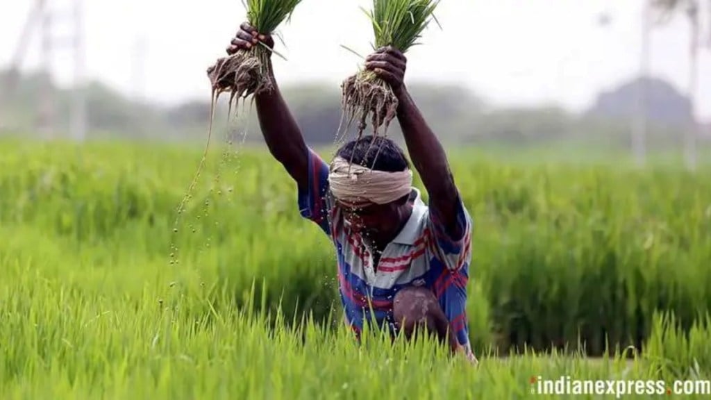 Budget 2025 farmers benefits: બજેટ 2025 ખેડૂતોને શું મળ્યું? કિસાન ક્રેડિટ કાર્ડ, ધન ધાન્ય યોજના અંગે કરાઇ મોટી જાહેરાત